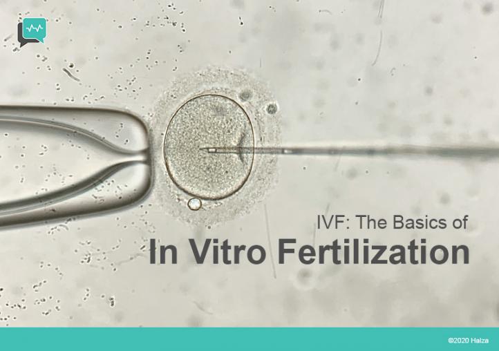 The Basics of In Vitro Fertilization (IVF)