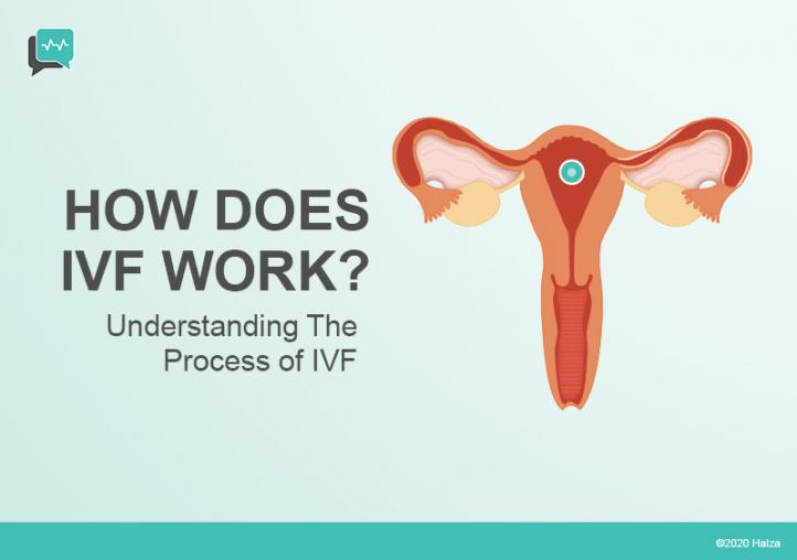 The Process of IVF & How it Works