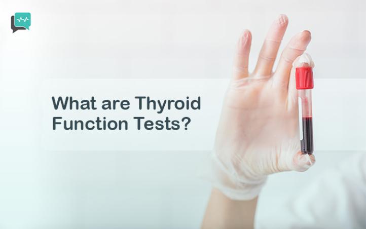 What are Thyroid Function Tests?  