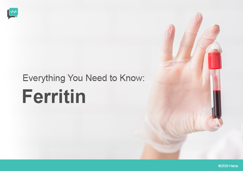 Ferritin Everything You Need To Know Halza